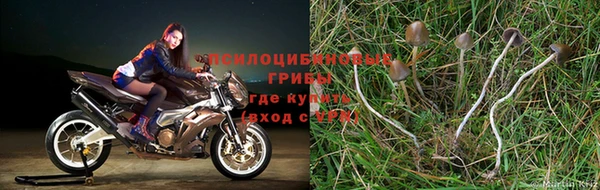 альфа пвп Горняк